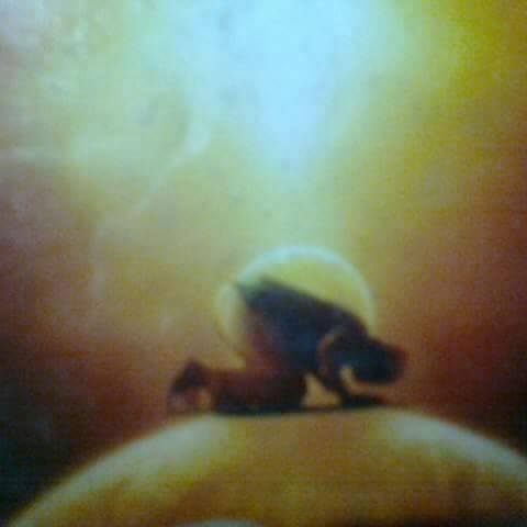 author-img